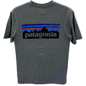 Patagonia Men's SM Logo Graphic T-shirt